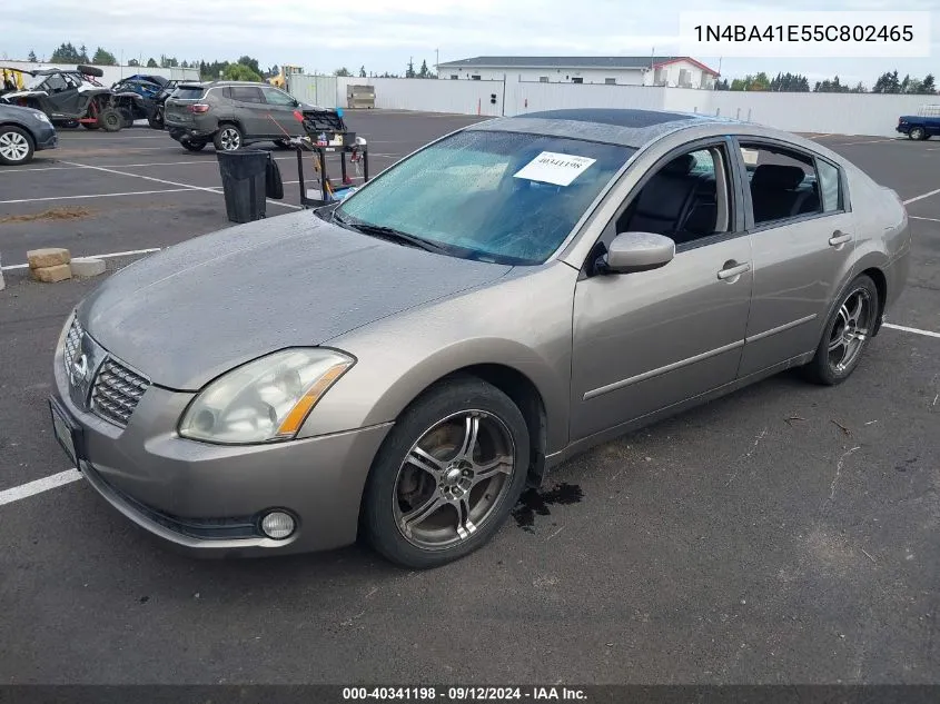 2005 Nissan Maxima 3.5 Se VIN: 1N4BA41E55C802465 Lot: 40341198