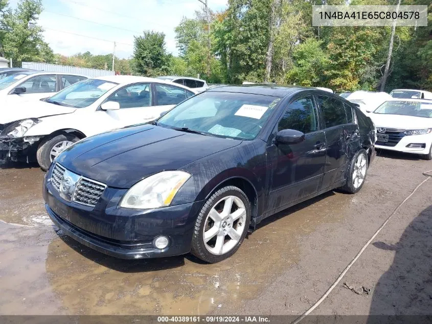 2005 Nissan Maxima 3.5 Se VIN: 1N4BA41E65C804578 Lot: 40389161