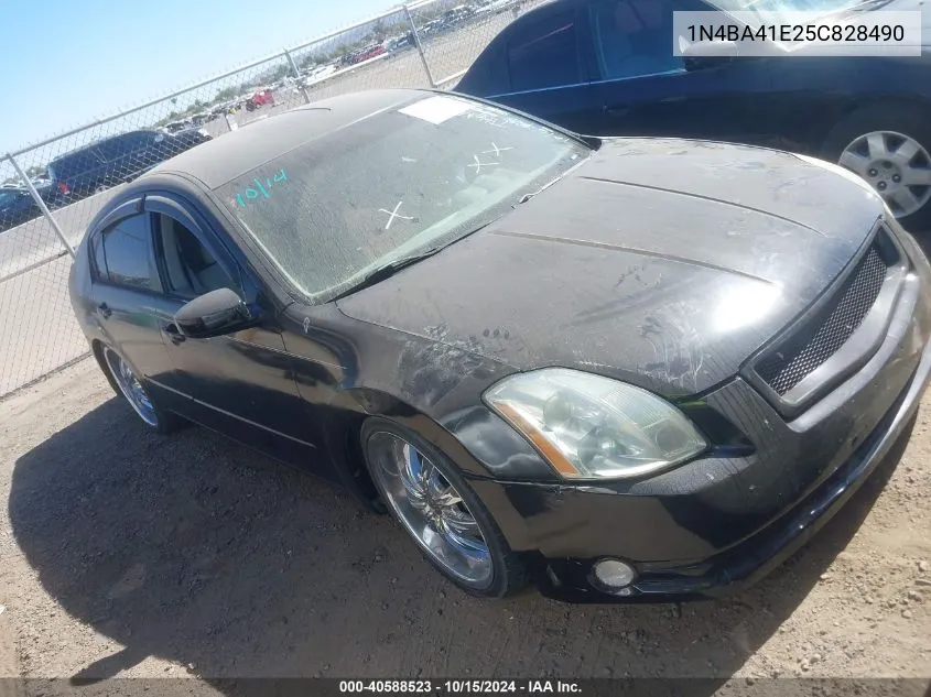 2005 Nissan Maxima 3.5 Sl VIN: 1N4BA41E25C828490 Lot: 40588523