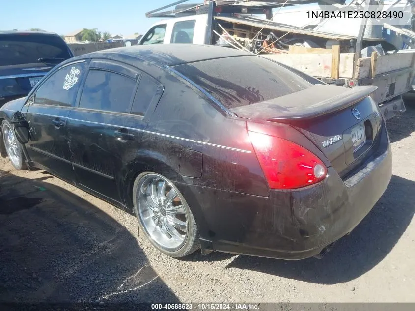 2005 Nissan Maxima 3.5 Sl VIN: 1N4BA41E25C828490 Lot: 40588523