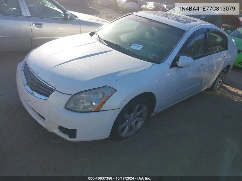 2007 Nissan Maxima 3.5 Sl VIN: 1N4BA41E77C813079 Lot: 40637356