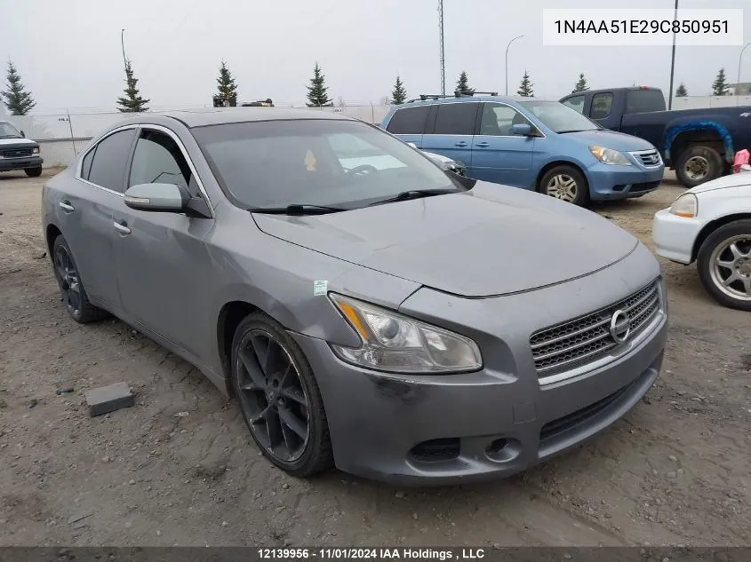 2009 Nissan Maxima S/Sv VIN: 1N4AA51E29C850951 Lot: 12139956