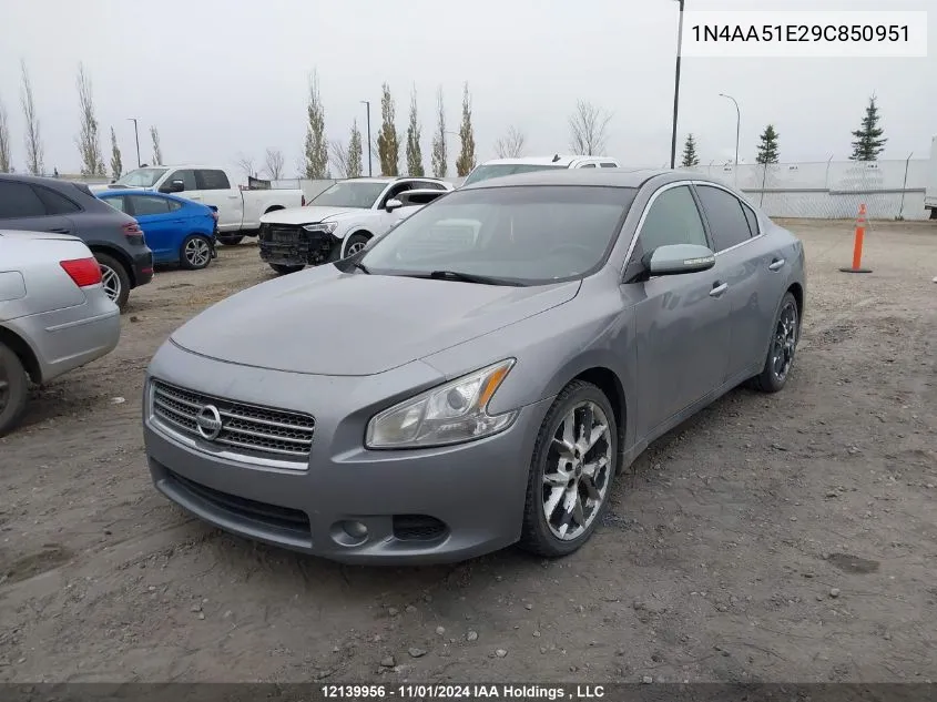 2009 Nissan Maxima S/Sv VIN: 1N4AA51E29C850951 Lot: 12139956