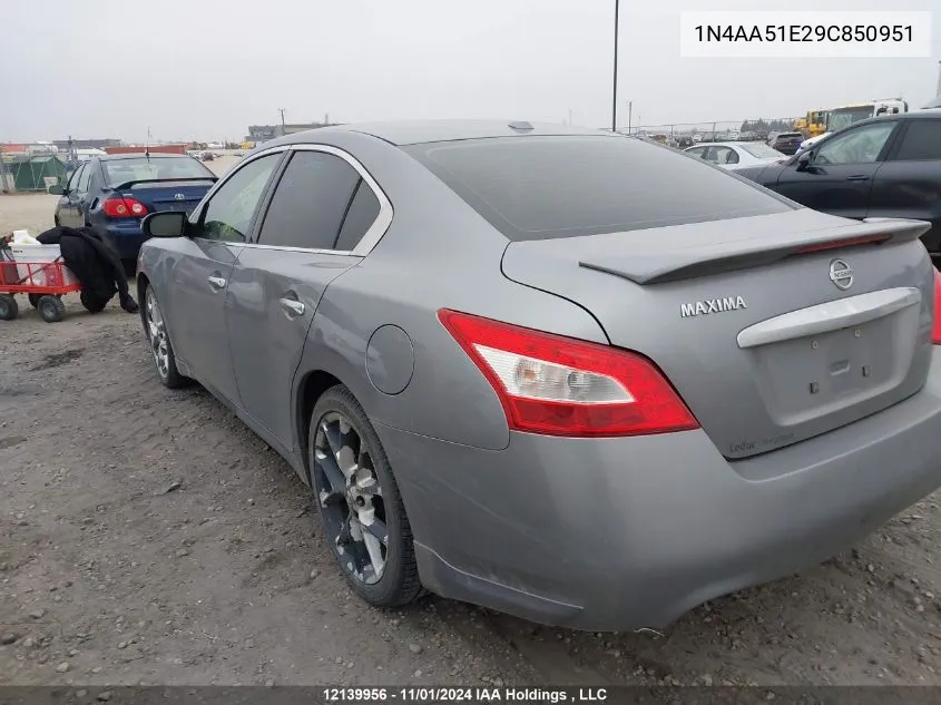 2009 Nissan Maxima S/Sv VIN: 1N4AA51E29C850951 Lot: 12139956