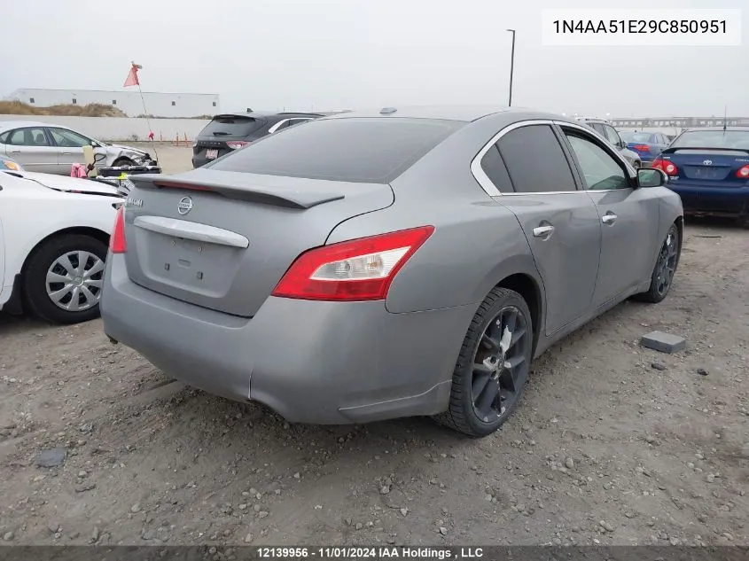 2009 Nissan Maxima S/Sv VIN: 1N4AA51E29C850951 Lot: 12139956