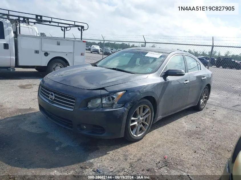 2009 Nissan Maxima 3.5 Sv VIN: 1N4AA51E19C827905 Lot: 39682144