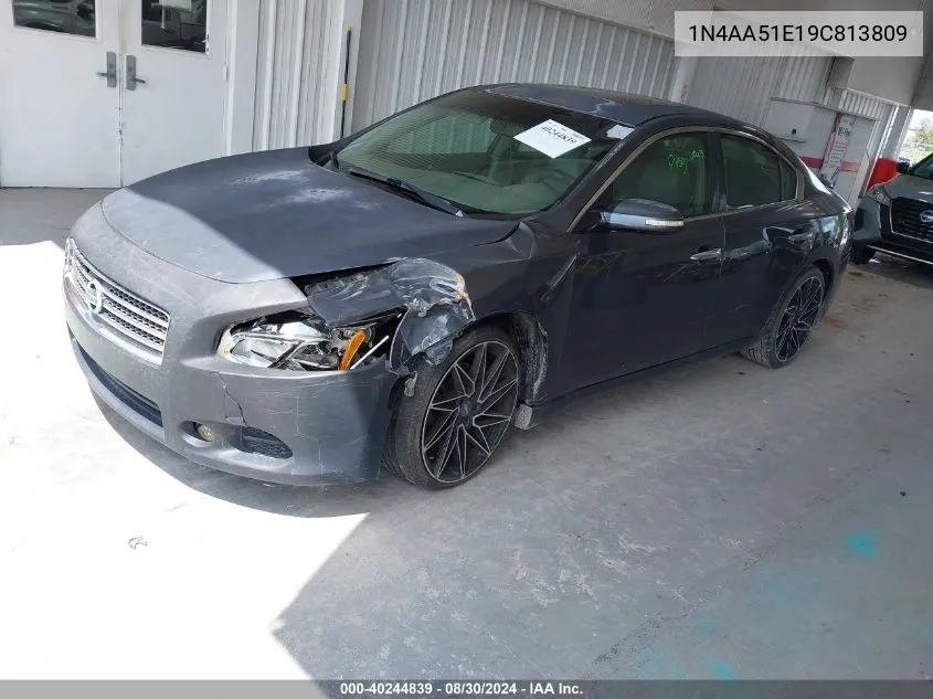 2009 Nissan Maxima 3.5 Sv VIN: 1N4AA51E19C813809 Lot: 40244839