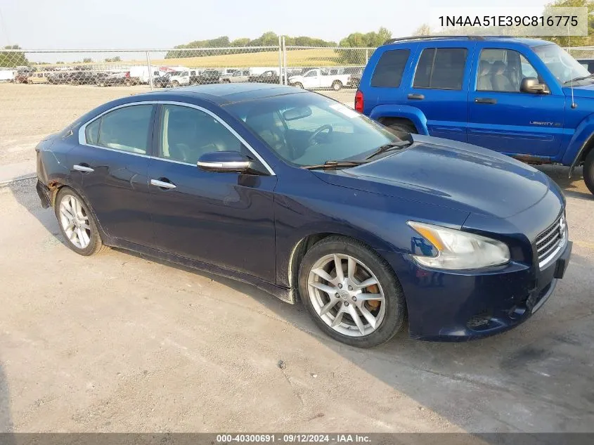 2009 Nissan Maxima S/Sv VIN: 1N4AA51E39C816775 Lot: 40300691