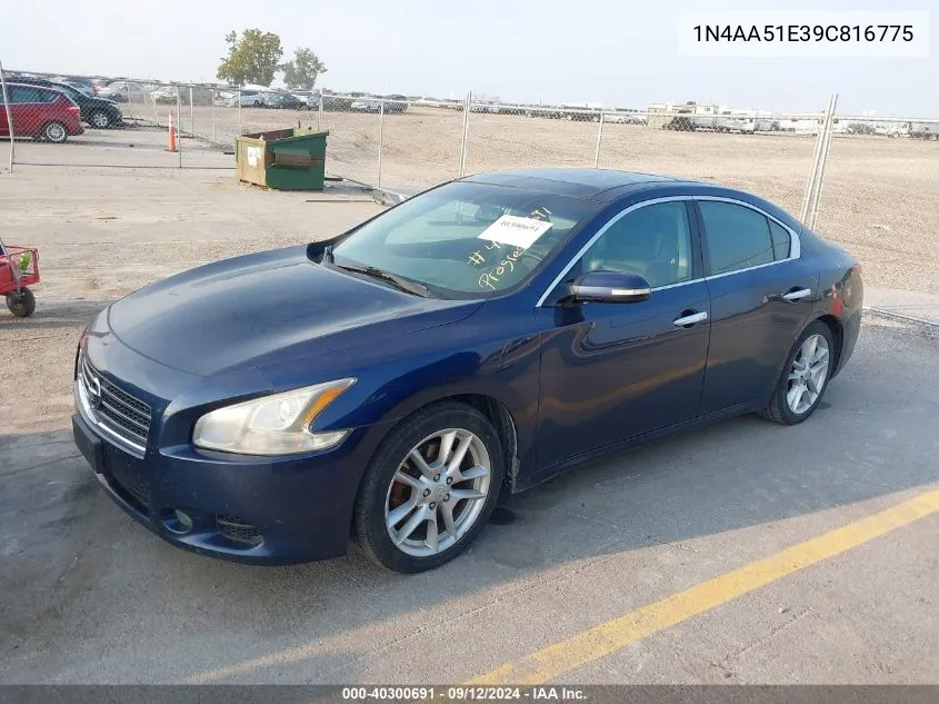 2009 Nissan Maxima S/Sv VIN: 1N4AA51E39C816775 Lot: 40300691