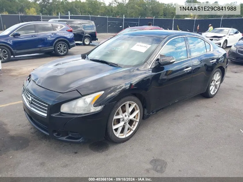 2009 Nissan Maxima 3.5 Sv VIN: 1N4AA51E29C841988 Lot: 40366104