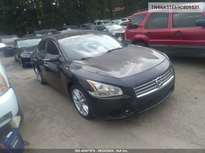 2009 Nissan Maxima 3.5 Sv VIN: 1N4AA51E69C809531 Lot: 40407979