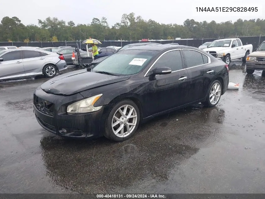 2009 Nissan Maxima 3.5 Sv VIN: 1N4AA51E29C828495 Lot: 40418131