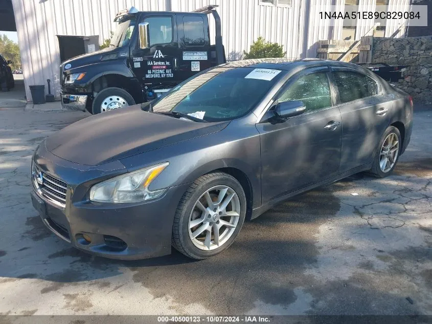 2009 Nissan Maxima S/Sv VIN: 1N4AA51E89C829084 Lot: 40500123