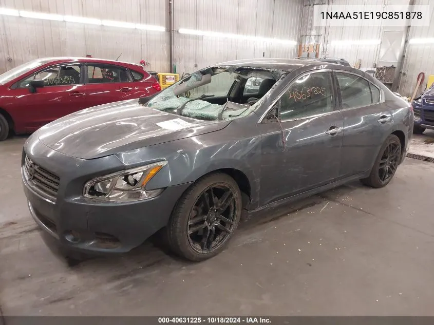 2009 Nissan Maxima 3.5 Sv VIN: 1N4AA51E19C851878 Lot: 40631225