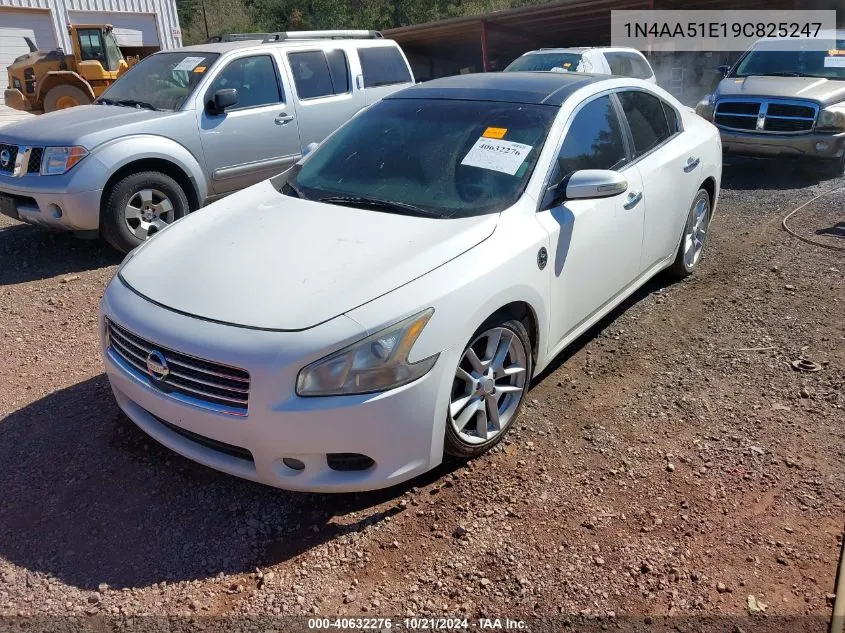 2009 Nissan Maxima 3.5 Sv W/Premium Pkg VIN: 1N4AA51E19C825247 Lot: 40632276