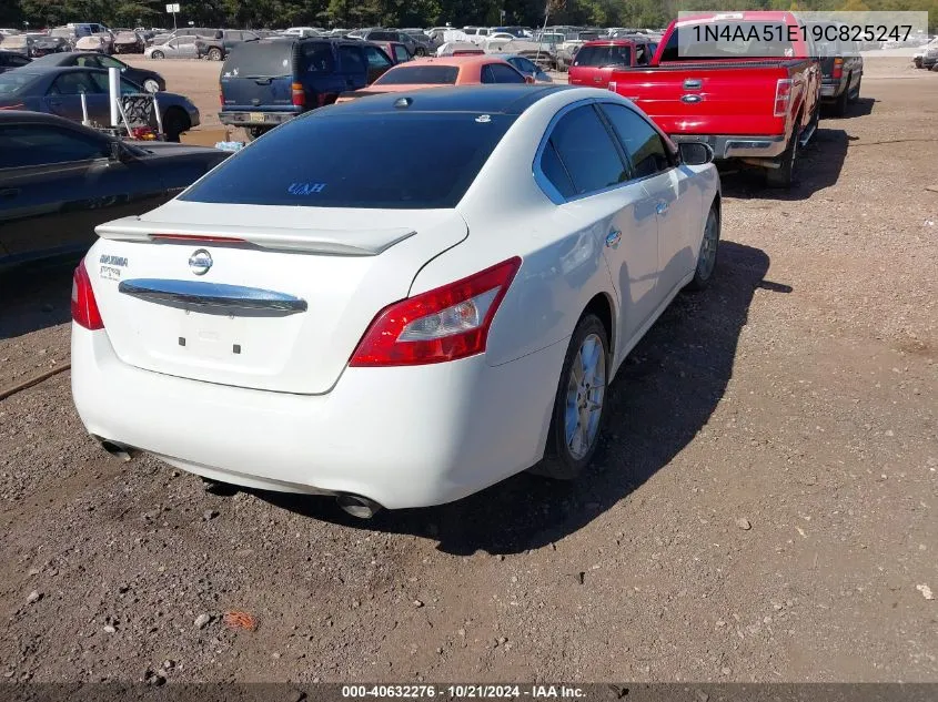 2009 Nissan Maxima 3.5 Sv W/Premium Pkg VIN: 1N4AA51E19C825247 Lot: 40632276