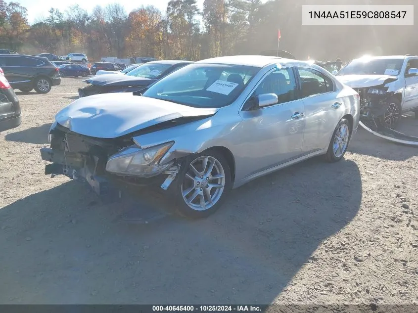 2009 Nissan Maxima 3.5 S VIN: 1N4AA51E59C808547 Lot: 40645400