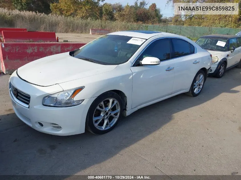 2009 Nissan Maxima 3.5 Sv VIN: 1N4AA51E99C859825 Lot: 40681770