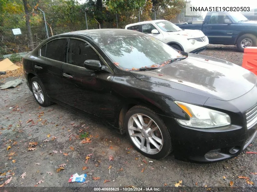 2009 Nissan Maxima 3.5 S VIN: 1N4AA51E19C820503 Lot: 40685625