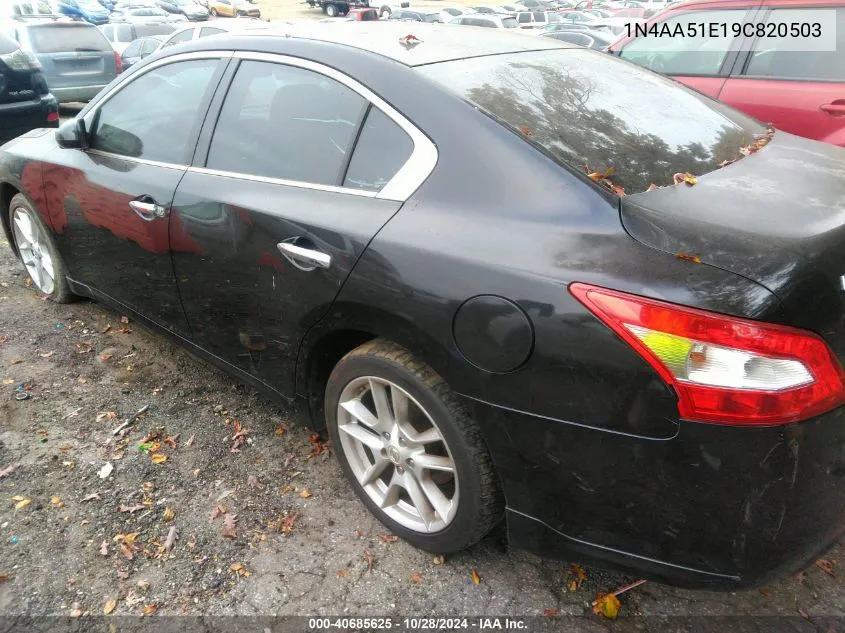 2009 Nissan Maxima 3.5 S VIN: 1N4AA51E19C820503 Lot: 40685625