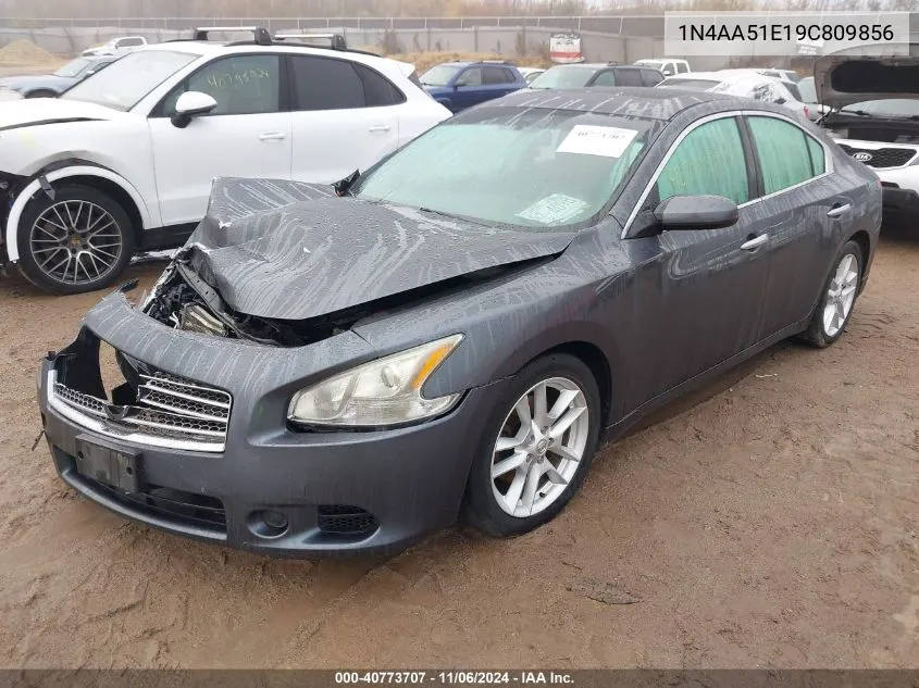 2009 Nissan Maxima 3.5 S VIN: 1N4AA51E19C809856 Lot: 40773707