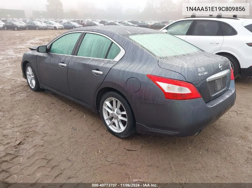 2009 Nissan Maxima 3.5 S VIN: 1N4AA51E19C809856 Lot: 40773707