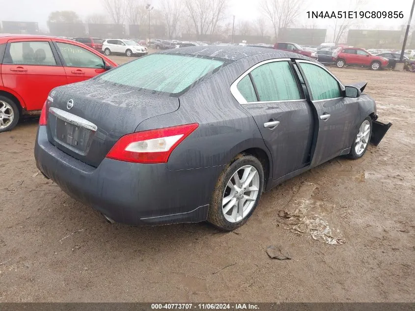 2009 Nissan Maxima 3.5 S VIN: 1N4AA51E19C809856 Lot: 40773707