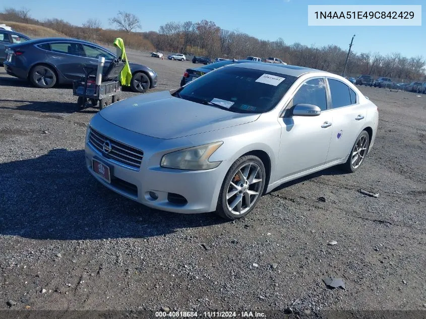 2009 Nissan Maxima 3.5 Sv VIN: 1N4AA51E49C842429 Lot: 40818684