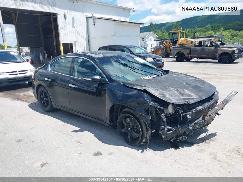 2010 Nissan Maxima 3.5 Sv VIN: 1N4AA5AP1AC809880 Lot: 39542104