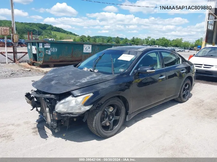 2010 Nissan Maxima 3.5 Sv VIN: 1N4AA5AP1AC809880 Lot: 39542104