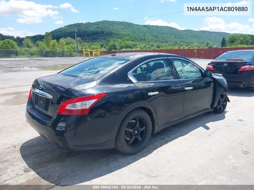 2010 Nissan Maxima 3.5 Sv VIN: 1N4AA5AP1AC809880 Lot: 39542104