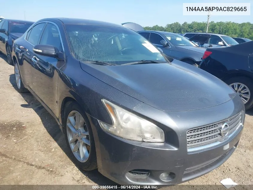 1N4AA5AP9AC829665 2010 Nissan Maxima 3.5 Sv