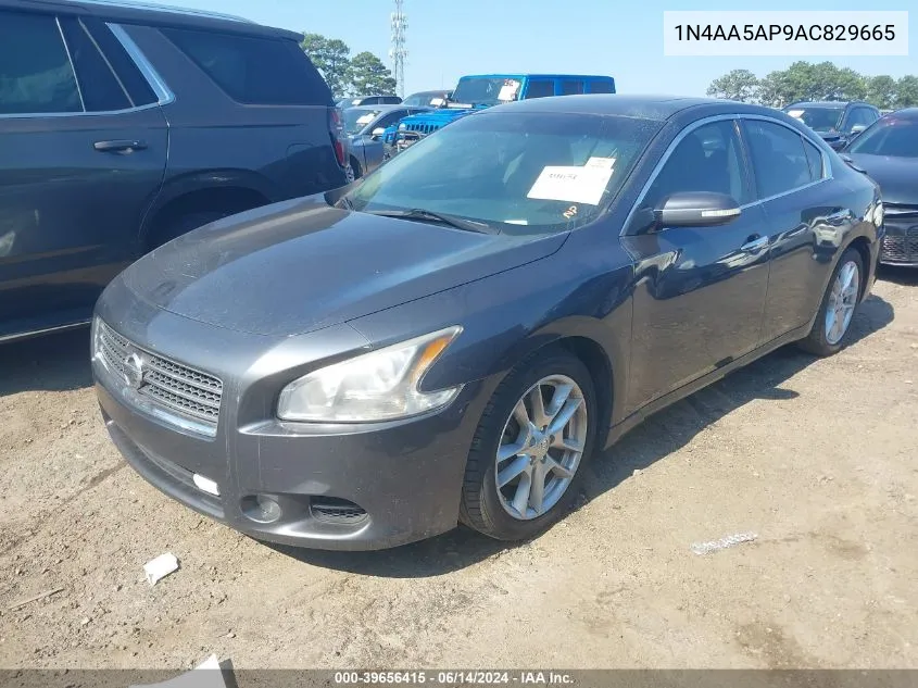 2010 Nissan Maxima 3.5 Sv VIN: 1N4AA5AP9AC829665 Lot: 39656415