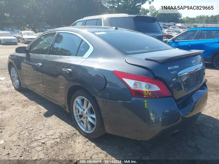 1N4AA5AP9AC829665 2010 Nissan Maxima 3.5 Sv