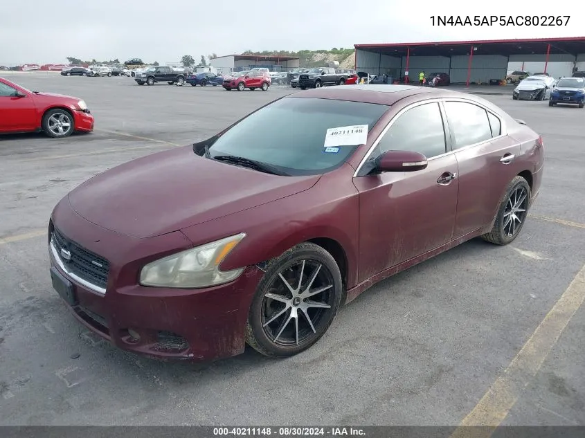 1N4AA5AP5AC802267 2010 Nissan Maxima 3.5 Sv