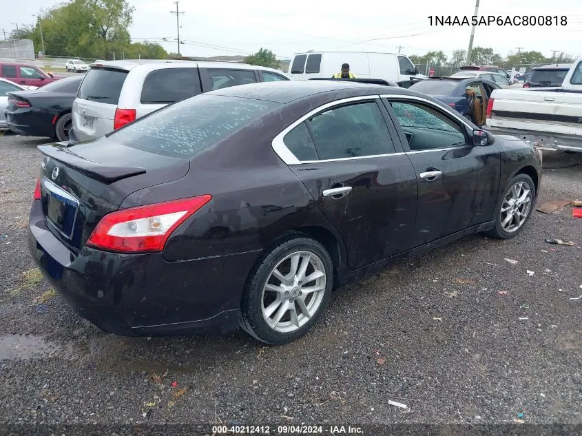 2010 Nissan Maxima 3.5 S VIN: 1N4AA5AP6AC800818 Lot: 40212412