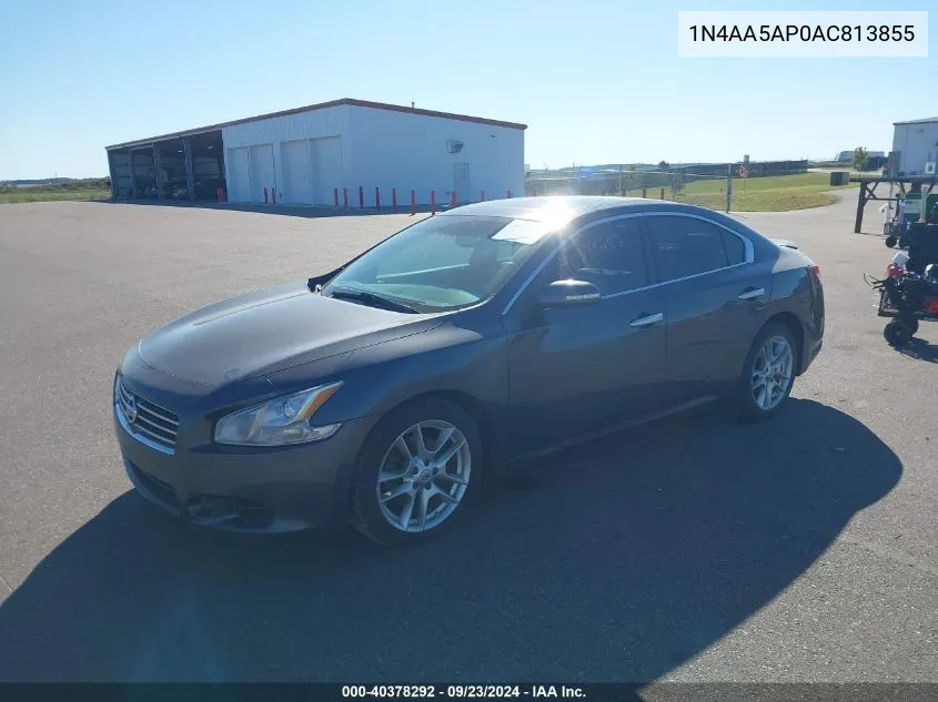 2010 Nissan Maxima 3.5 Sv VIN: 1N4AA5AP0AC813855 Lot: 40378292