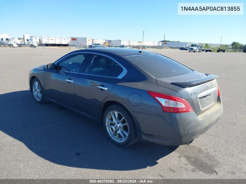 2010 Nissan Maxima 3.5 Sv VIN: 1N4AA5AP0AC813855 Lot: 40378292