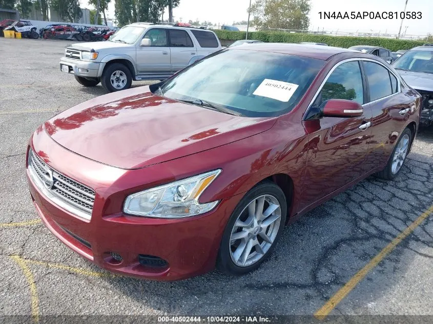 2010 Nissan Maxima 3.5 Sv VIN: 1N4AA5AP0AC810583 Lot: 40502444