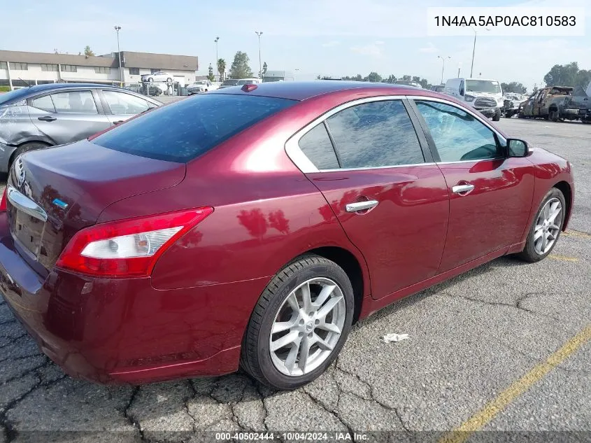 2010 Nissan Maxima 3.5 Sv VIN: 1N4AA5AP0AC810583 Lot: 40502444