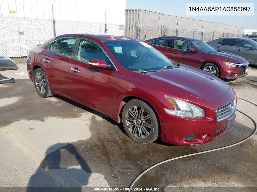 2010 Nissan Maxima S/Sv VIN: 1N4AA5AP1AC856097 Lot: 40514585