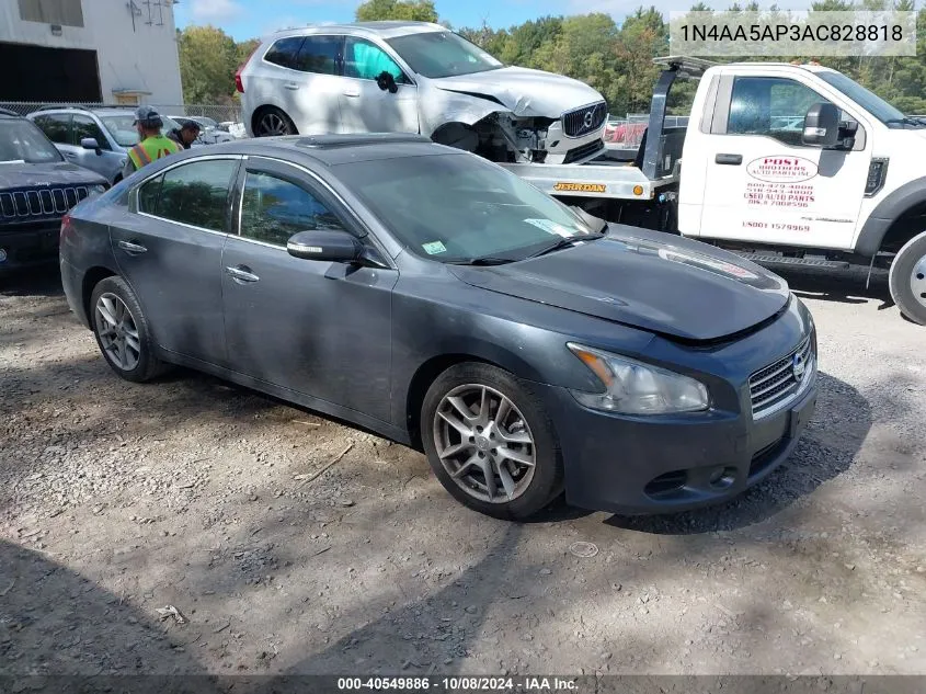 2010 Nissan Maxima 3.5 Sv VIN: 1N4AA5AP3AC828818 Lot: 40549886