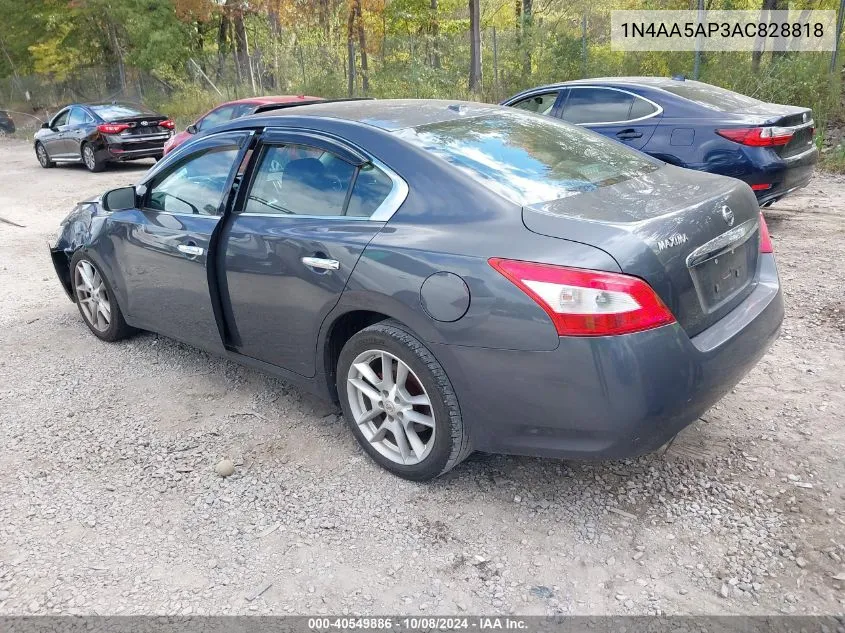 2010 Nissan Maxima 3.5 Sv VIN: 1N4AA5AP3AC828818 Lot: 40549886