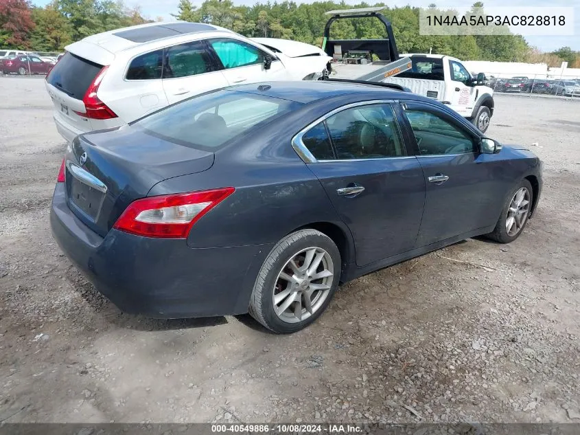 2010 Nissan Maxima 3.5 Sv VIN: 1N4AA5AP3AC828818 Lot: 40549886