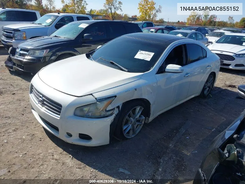 2010 Nissan Maxima 3.5 Sv VIN: 1N4AA5AP0AC855152 Lot: 40629306