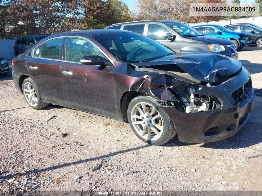 2010 Nissan Maxima 3.5 Sv VIN: 1N4AA5AP9AC834509 Lot: 40711307