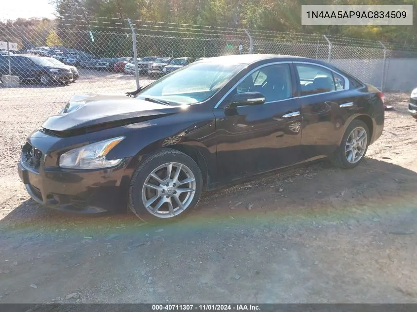 2010 Nissan Maxima 3.5 Sv VIN: 1N4AA5AP9AC834509 Lot: 40711307