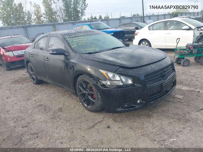 2011 Nissan Maxima S/Sv VIN: 1N4AA5APXBC829790 Lot: 12108492