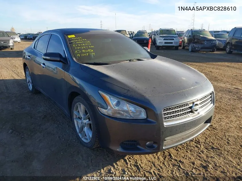 2011 Nissan Maxima 3.5 S VIN: 1N4AA5APXBC828610 Lot: 12122502