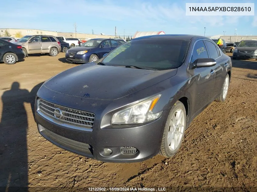 2011 Nissan Maxima 3.5 S VIN: 1N4AA5APXBC828610 Lot: 12122502